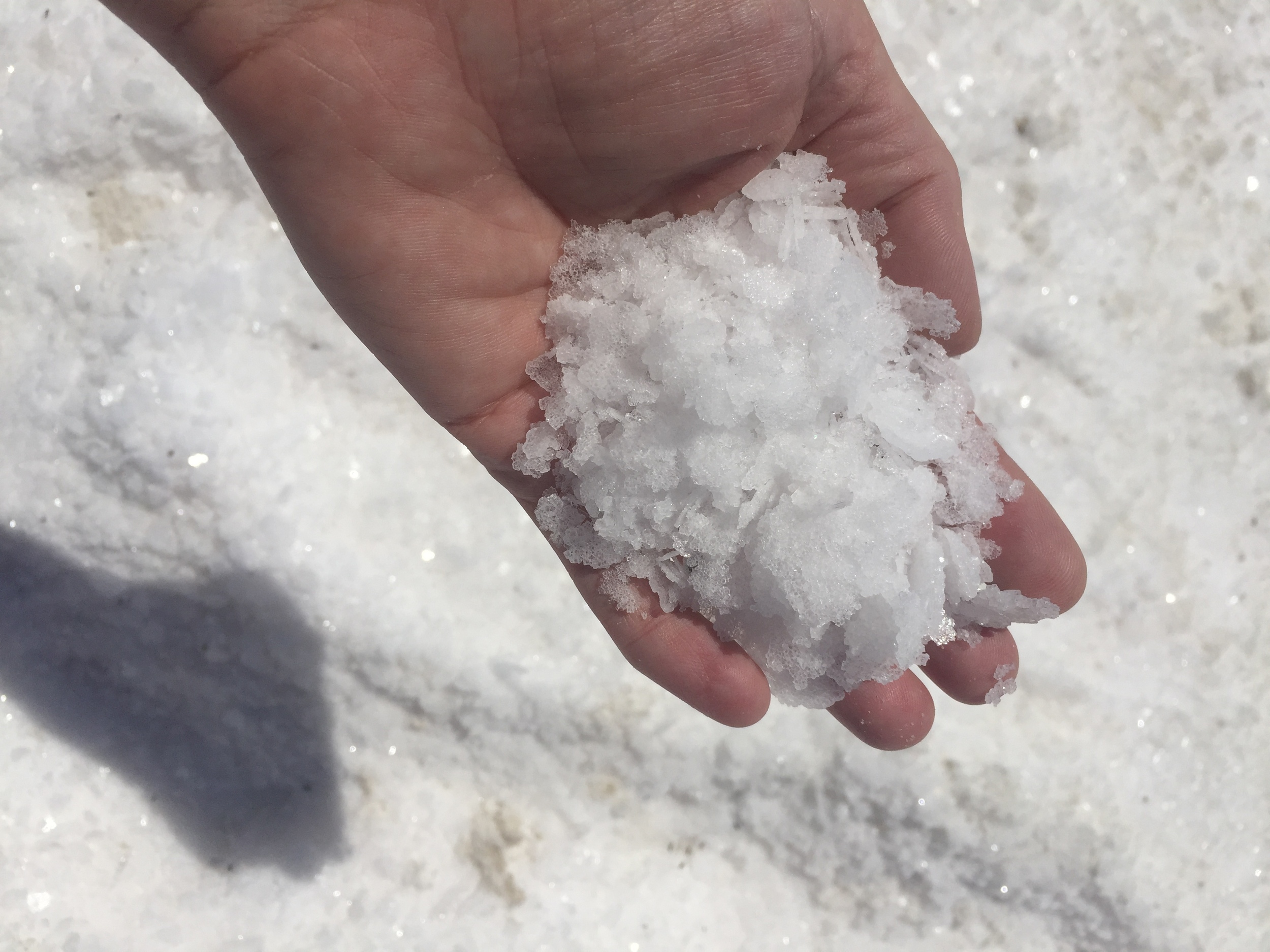 Salt crystals