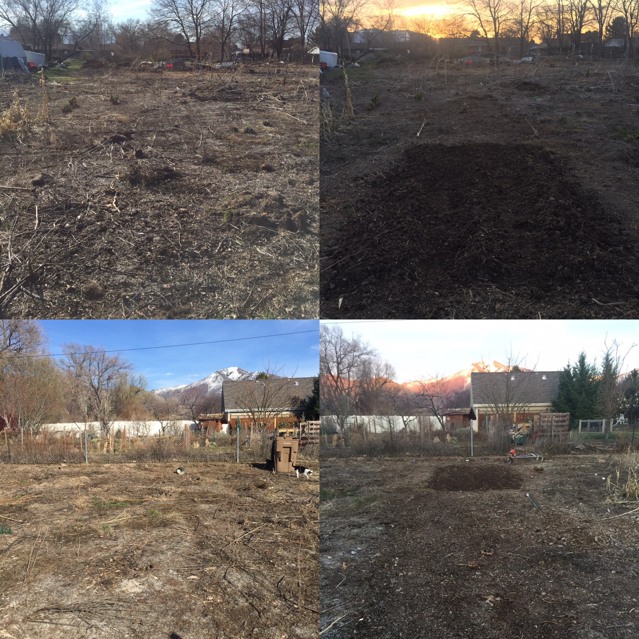 Looking west above before and after, east below before and after