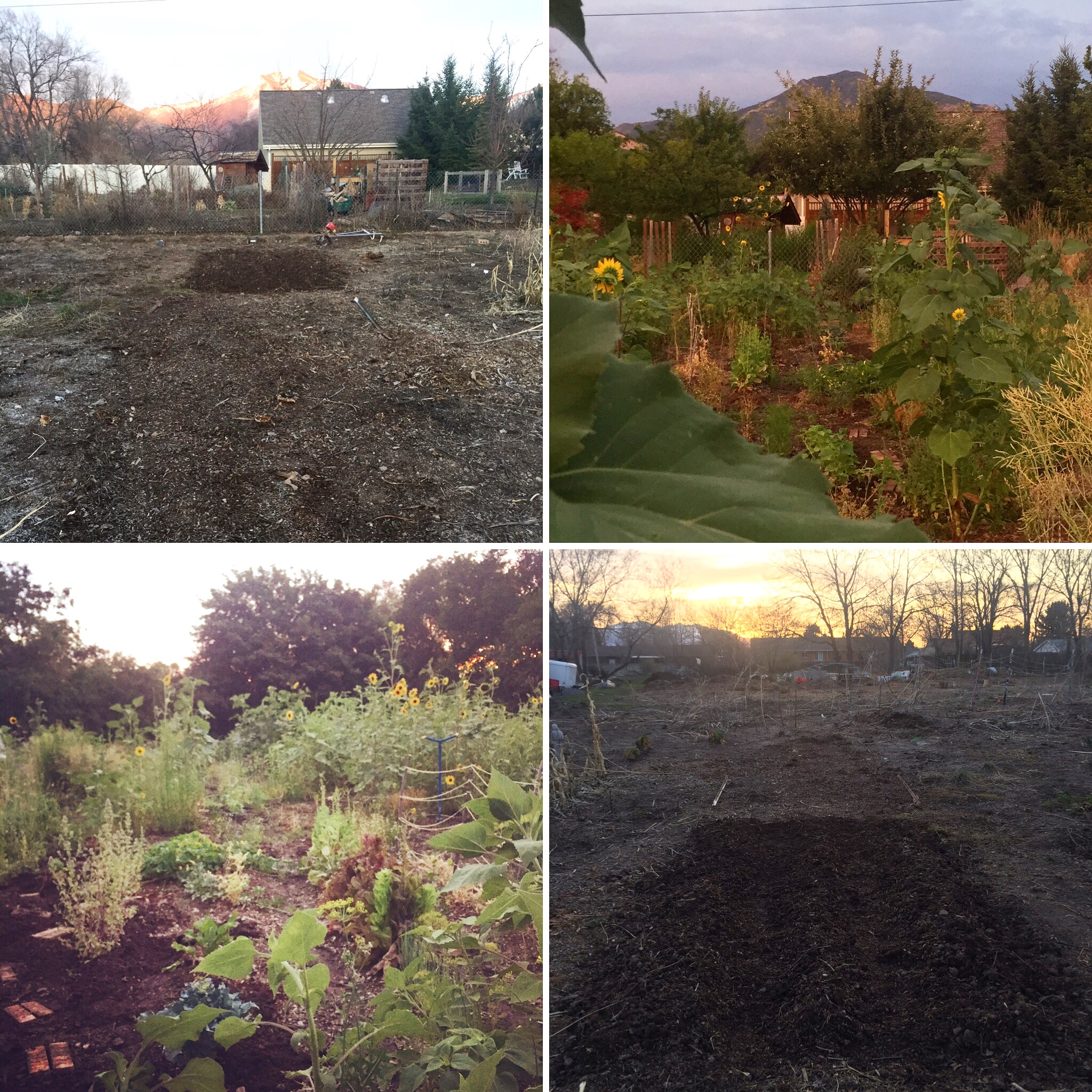 Before and After: Late Winter and Summer