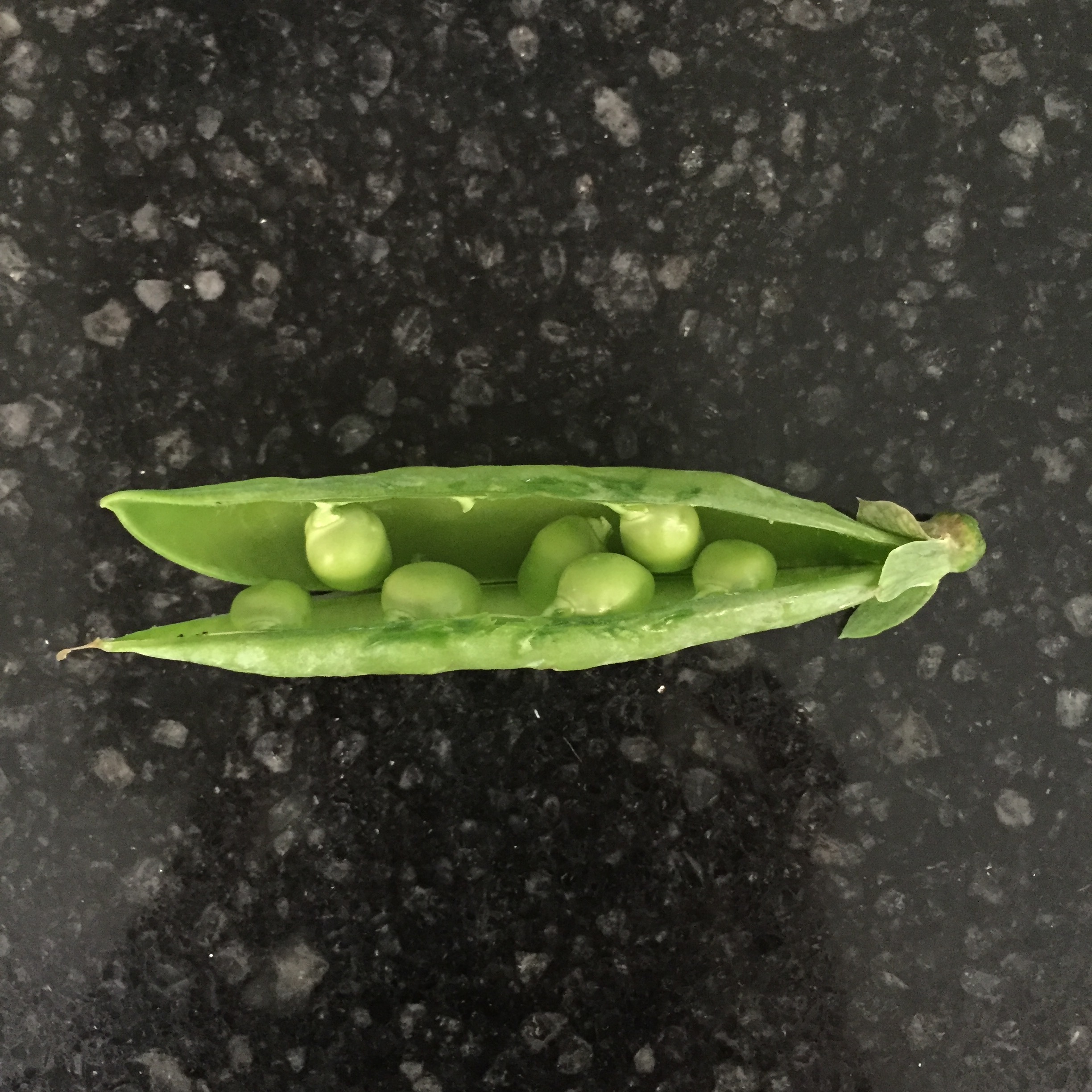 Peas