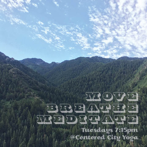 MoveBreatheMeditate010.jpg