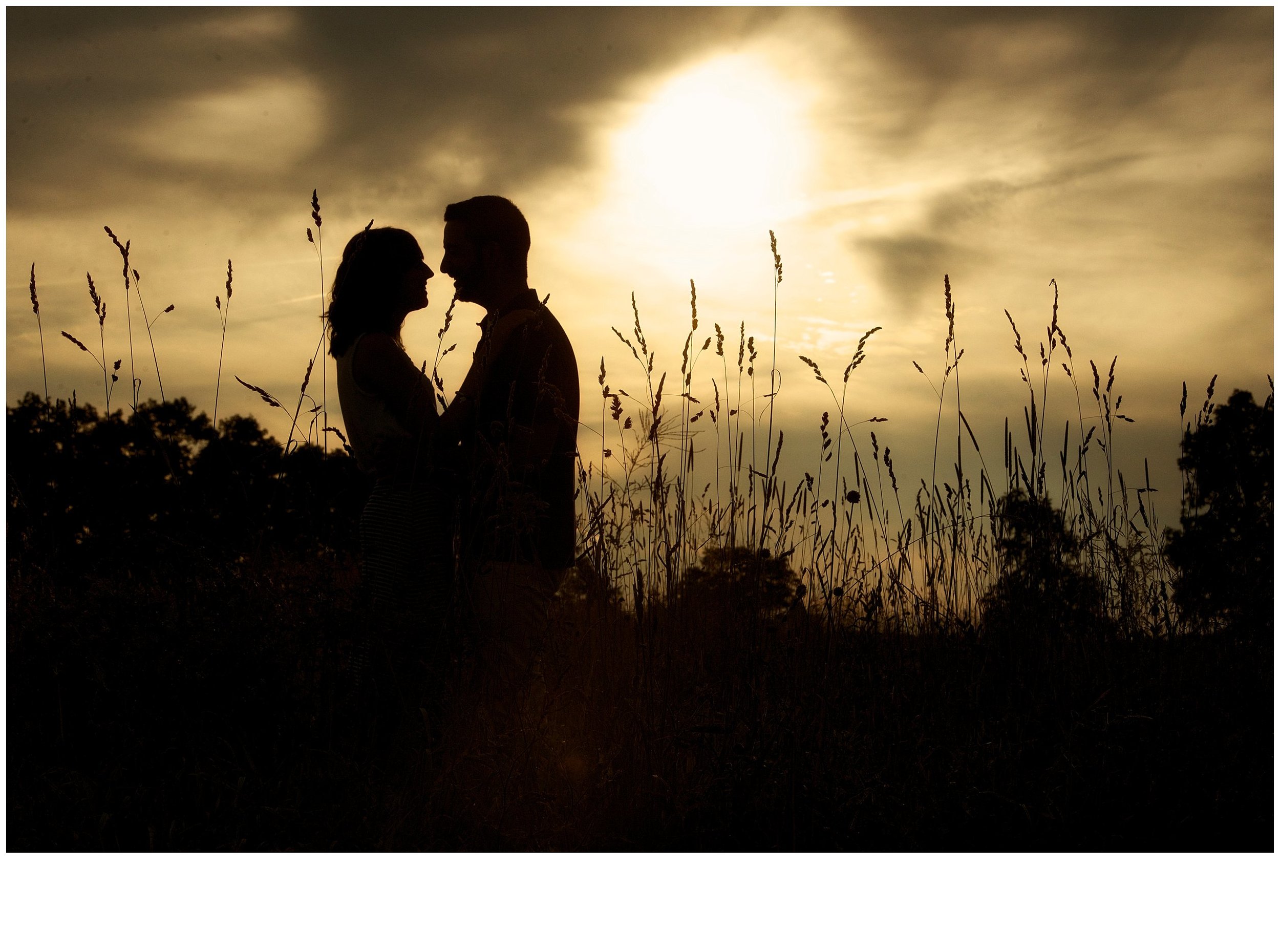 Sunset engagement session at Natirar in gladstone new jersey