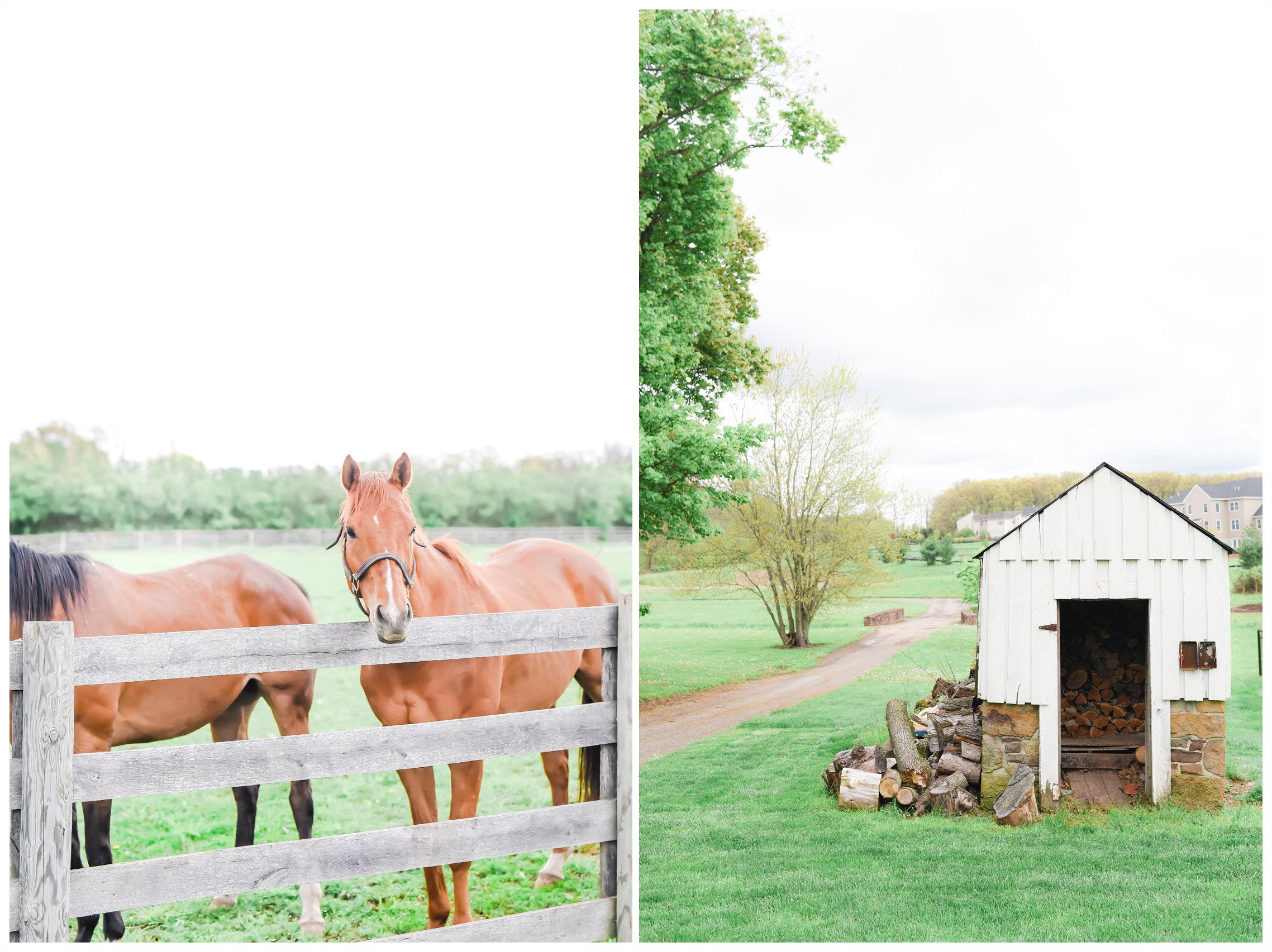 SterlingBrook Farm Styled Wedding