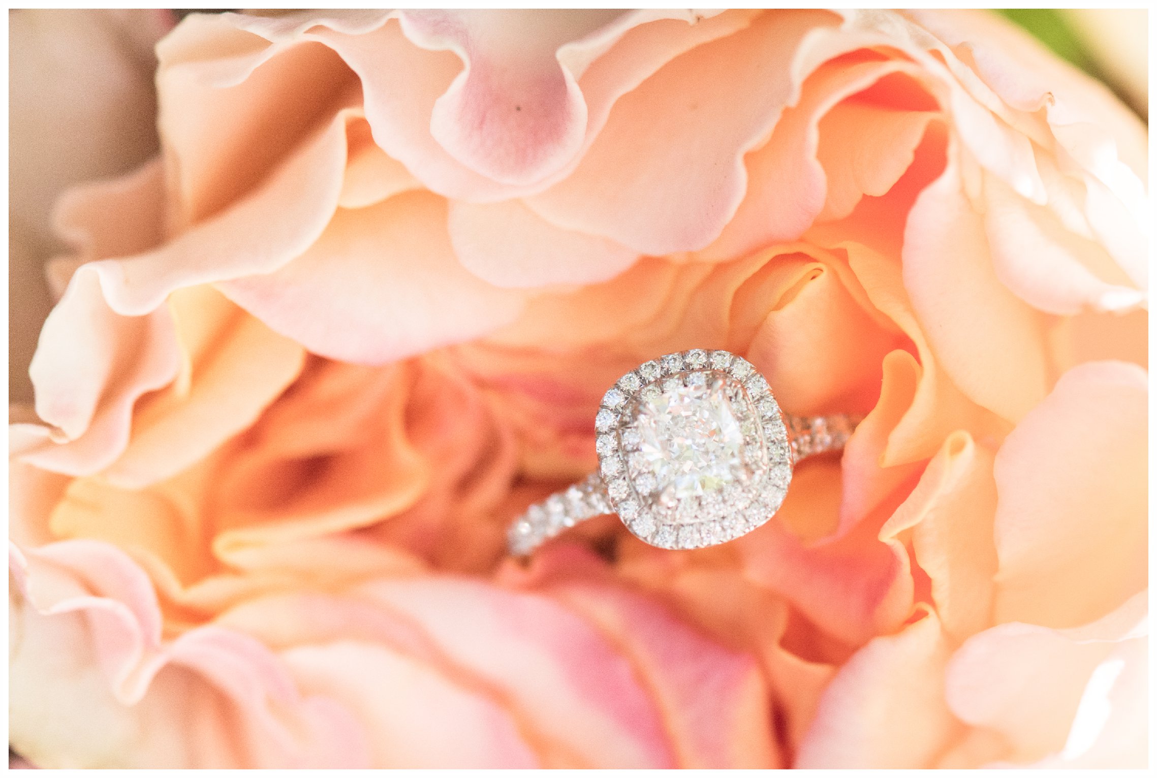 New Jersey Engagement Session