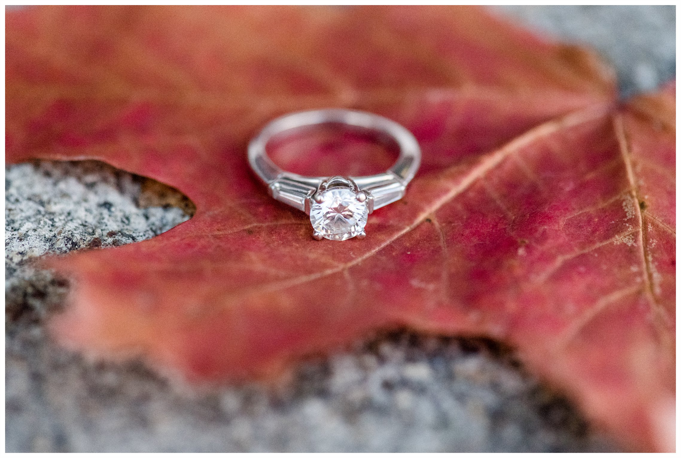 Beautiful engagement ring on a pretty leaf for engagement session at Verona Park, Verona New Jersey