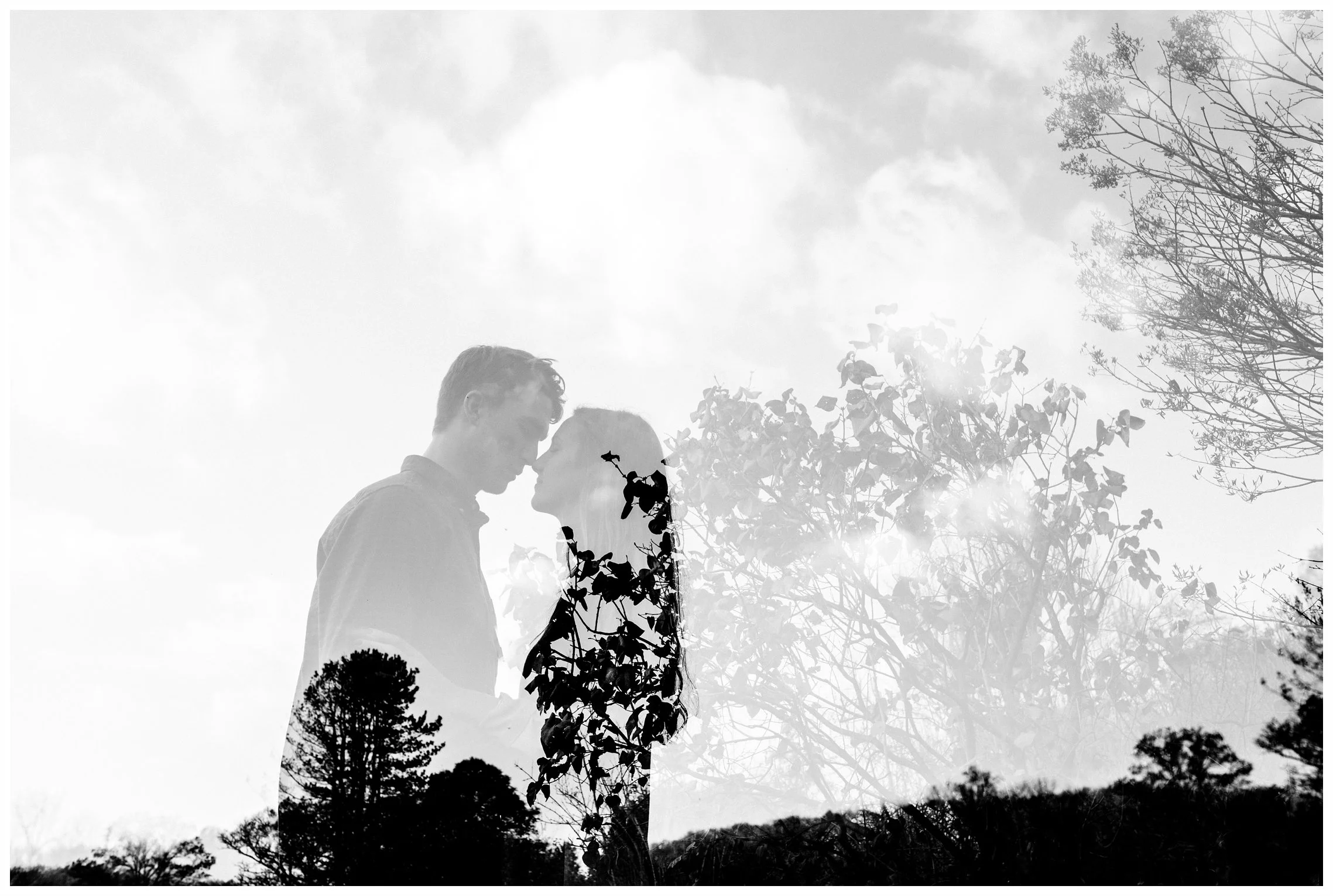 Willowwood Arboretum Engagement Session