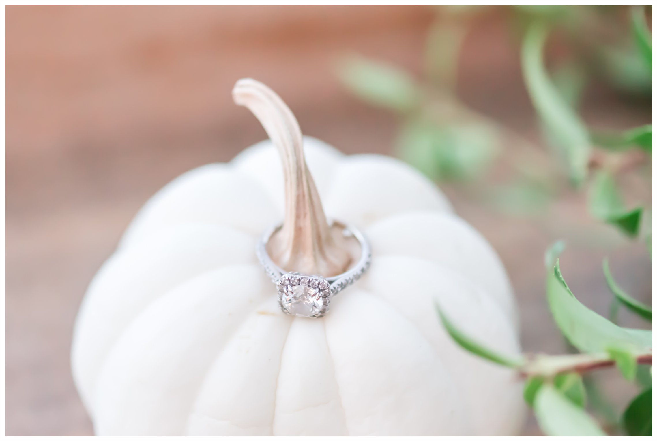 New Jersey Engagement Session