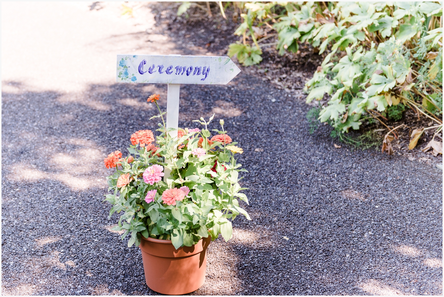 wedding ceremony in arboretum