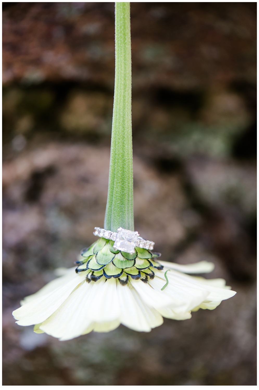 Jockey Hollow Engagement Session_0373.jpg