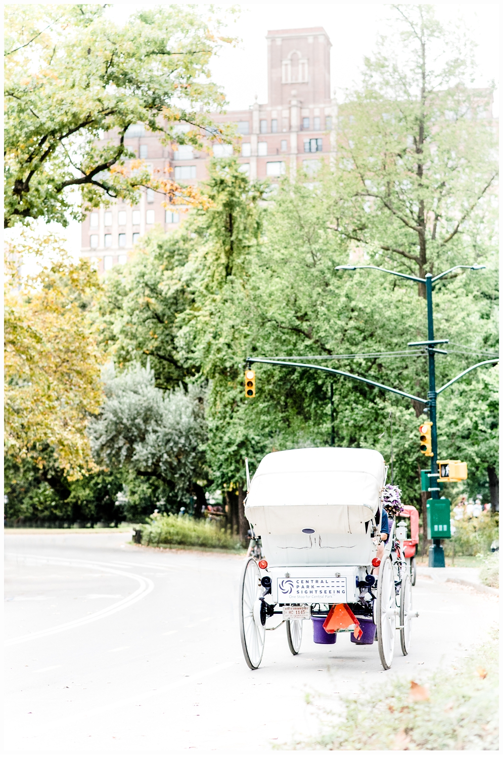 Central park horse drawn carriage