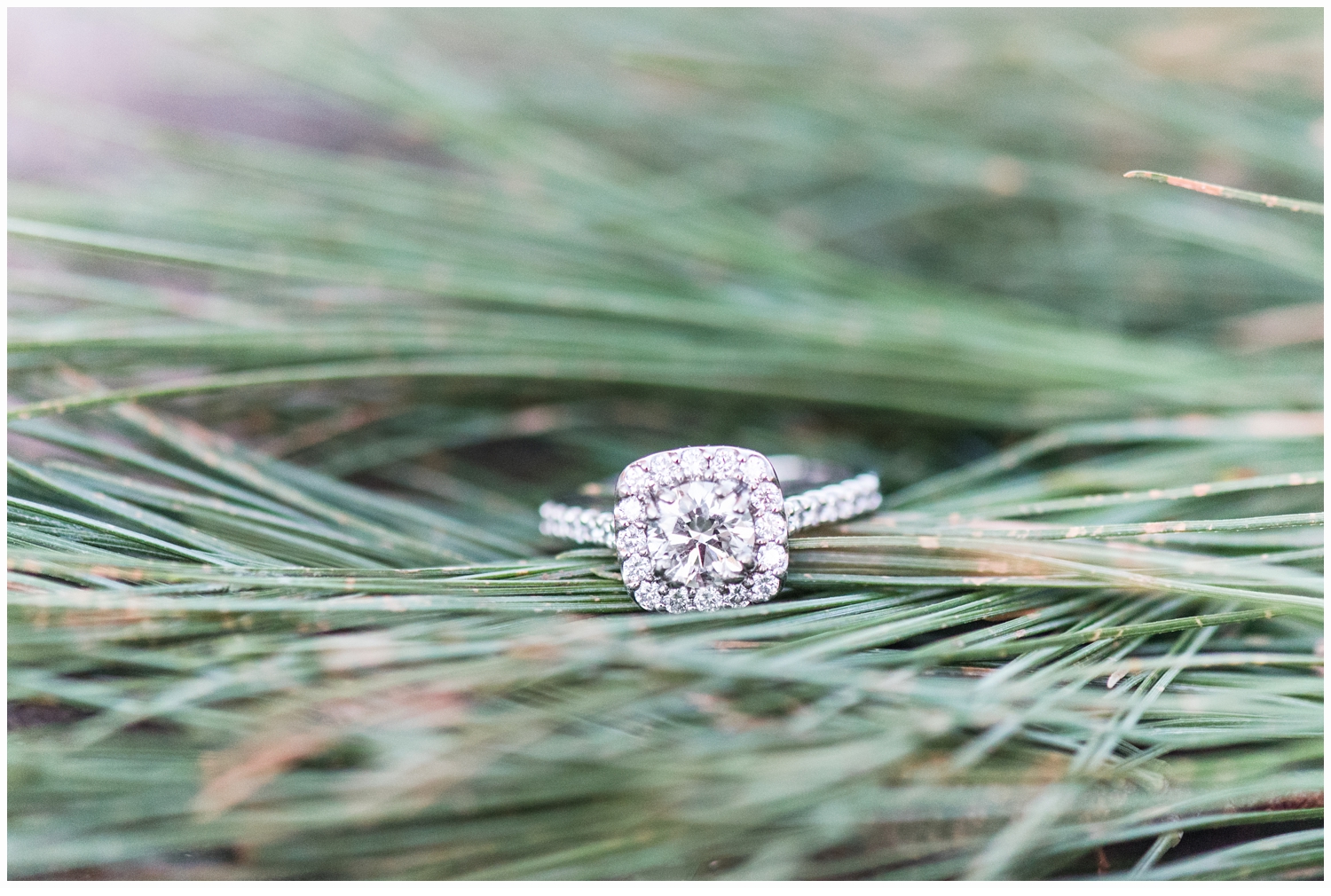 engagement ring picture