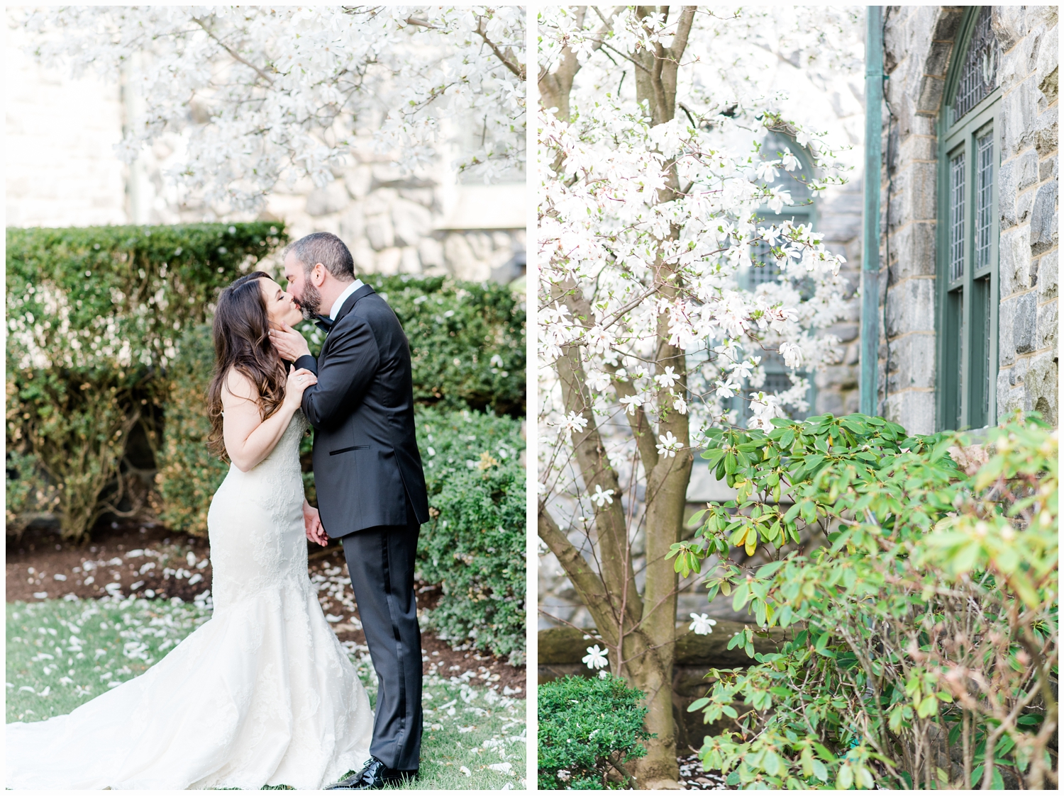 bride and groom portraits under a cherry tree