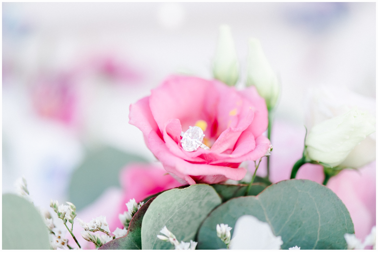 Jeanine and John Engagement_1468.jpg