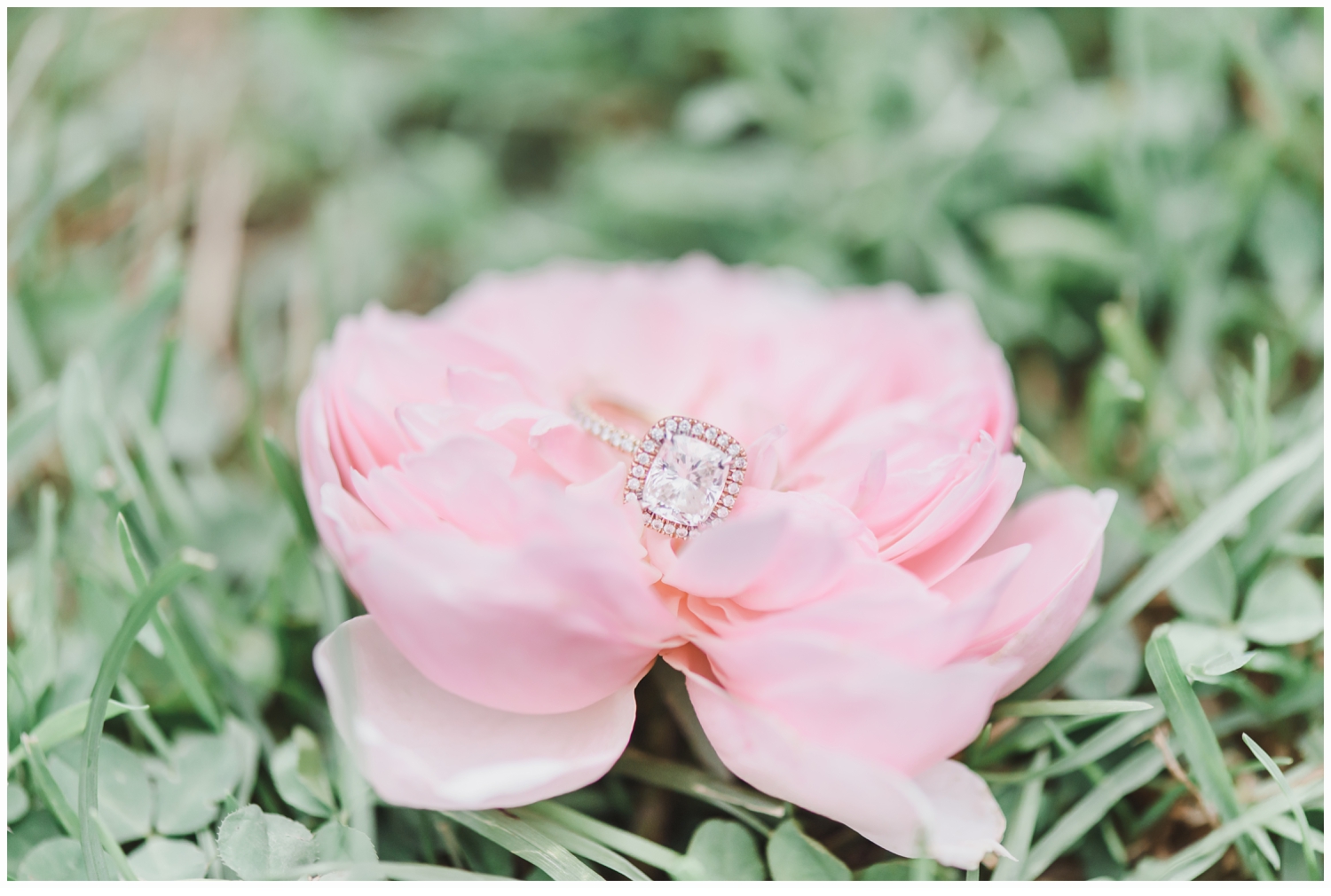 Justine and Mike Engagement_1580.jpg