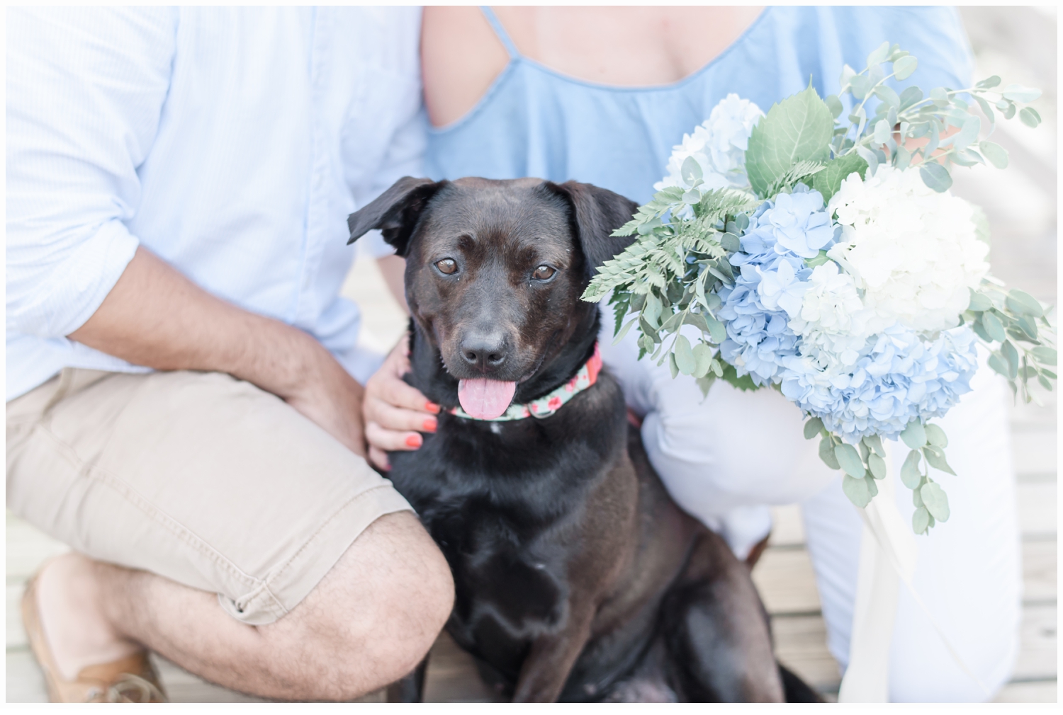 couple with their dog on a bridge