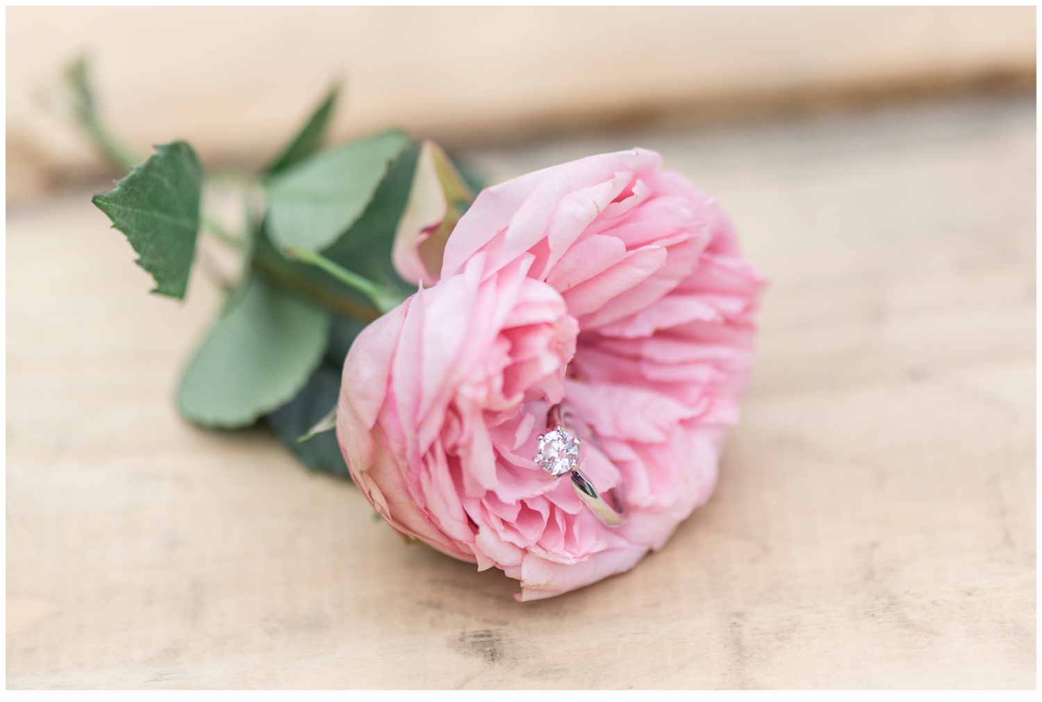 pretty engagement ring in a pink flower