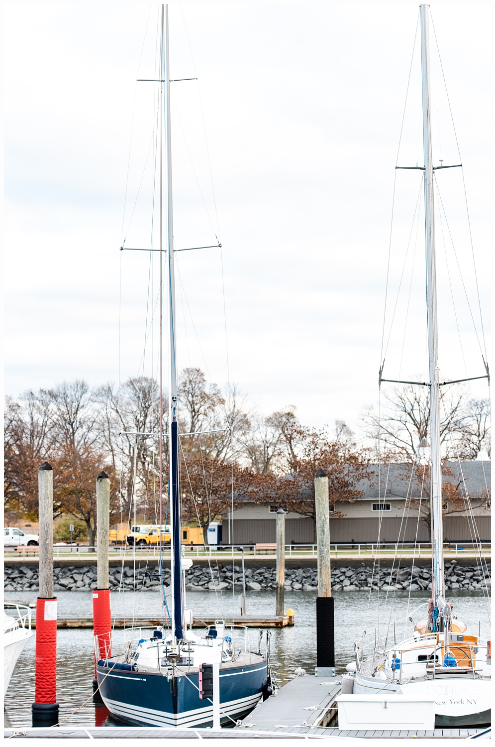 sailboats in a marina