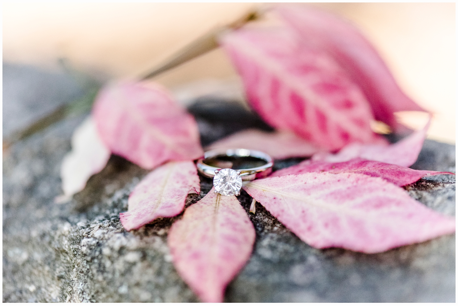 engagement ring on pretty pink leaves