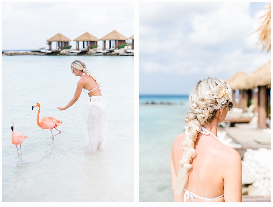 bride feeding pink flamingos in aruba