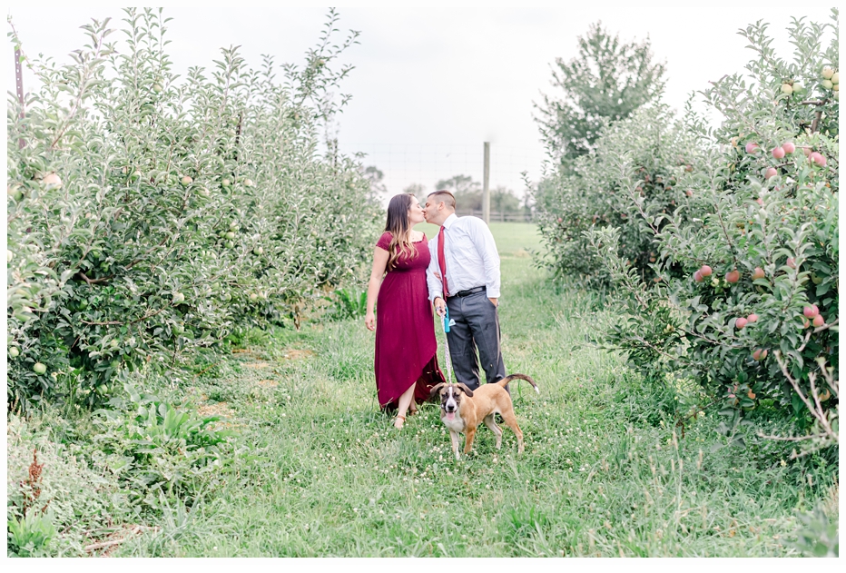 engaged couple walking their dog in apply orchard