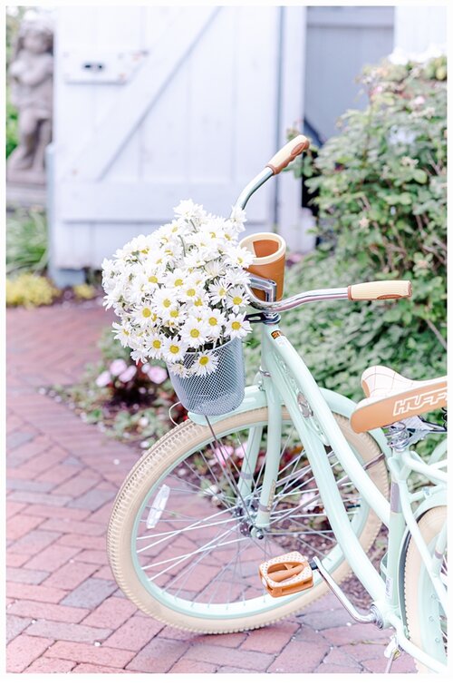 green bicycle with a basket of flowers