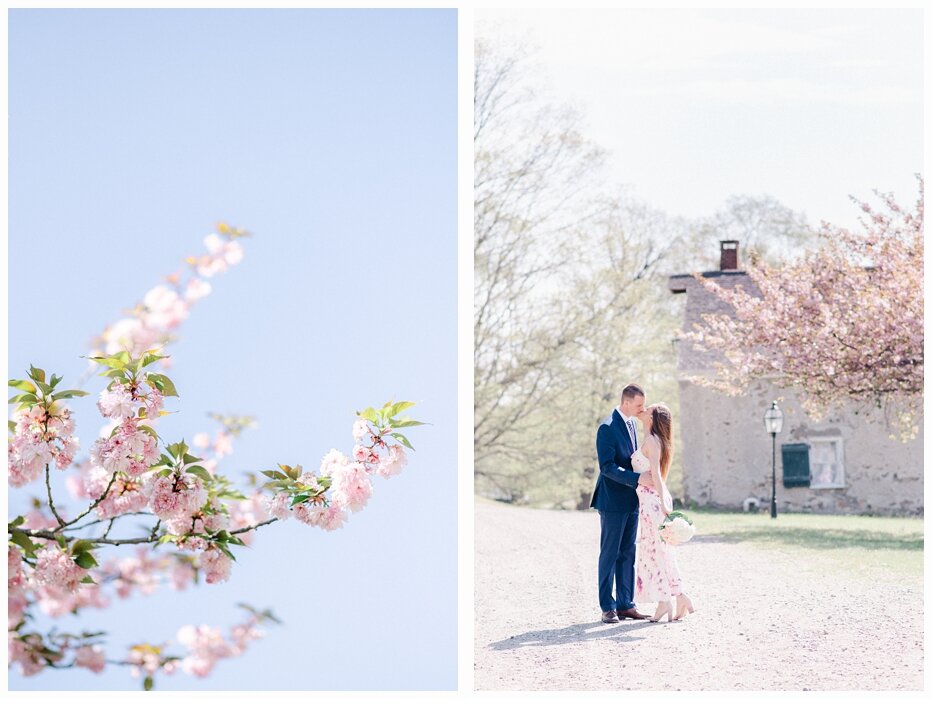 engaged couple in a cherry blossom field