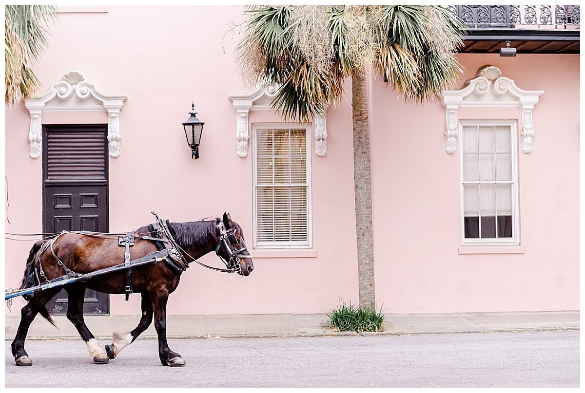 horse drawn buggy downtown charleston