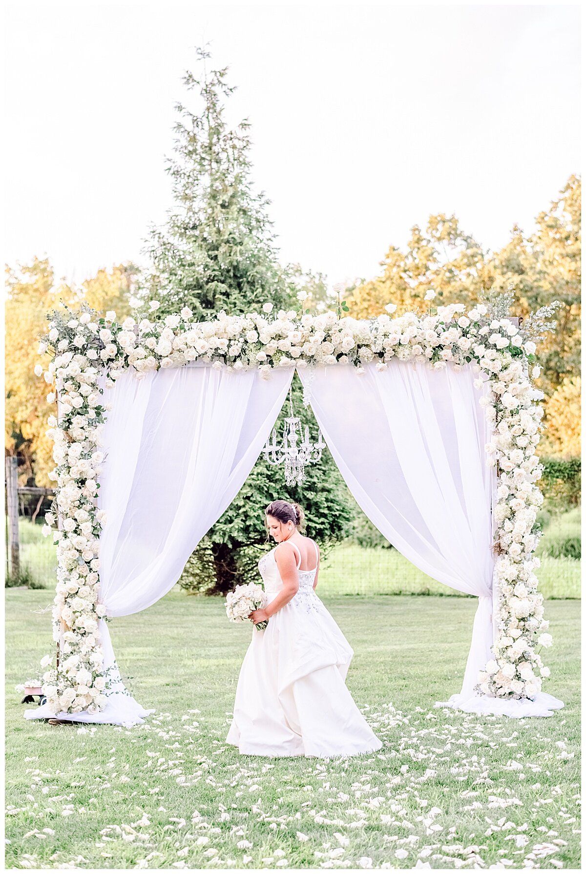 bride portrait in front of a flower arbor