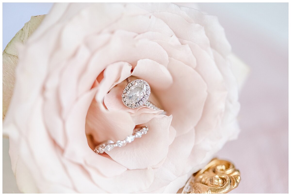 wedding rings in a pretty pink rose