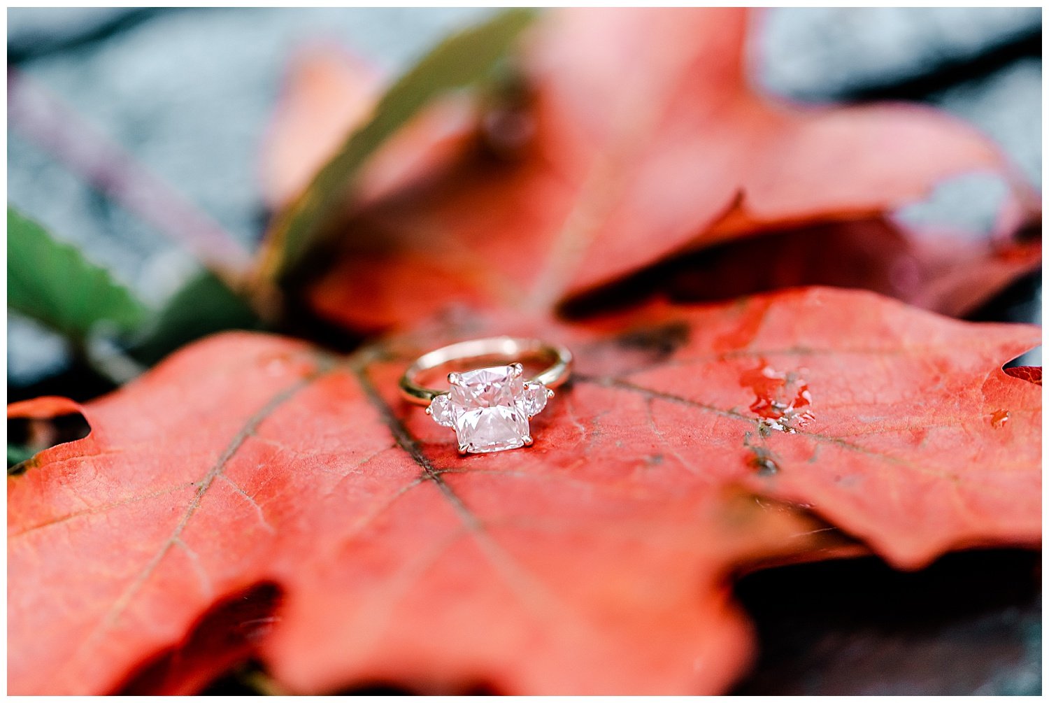 engagement ring on a pretty orange leaf