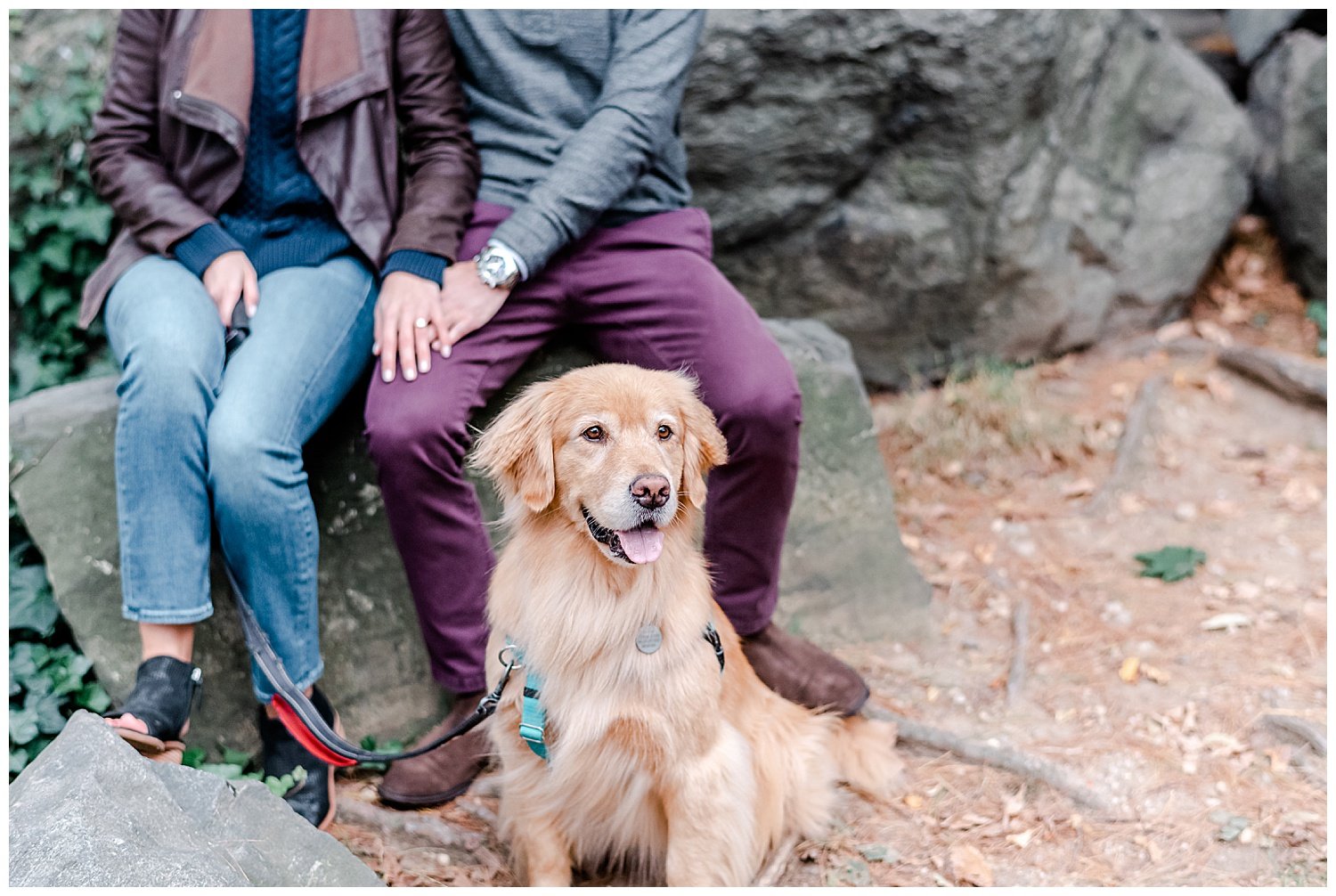 golden retriever with engaged couple