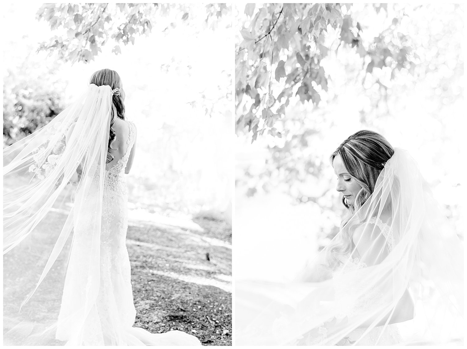 bridal portraits