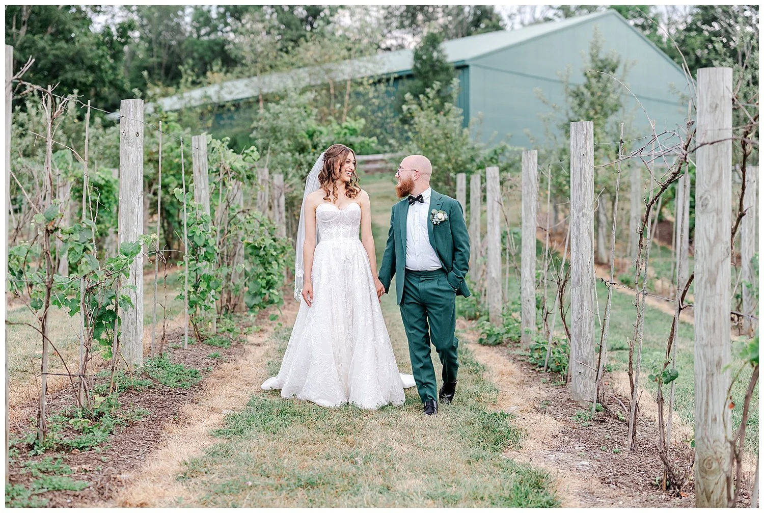 bride and groom portraits in a vineyard