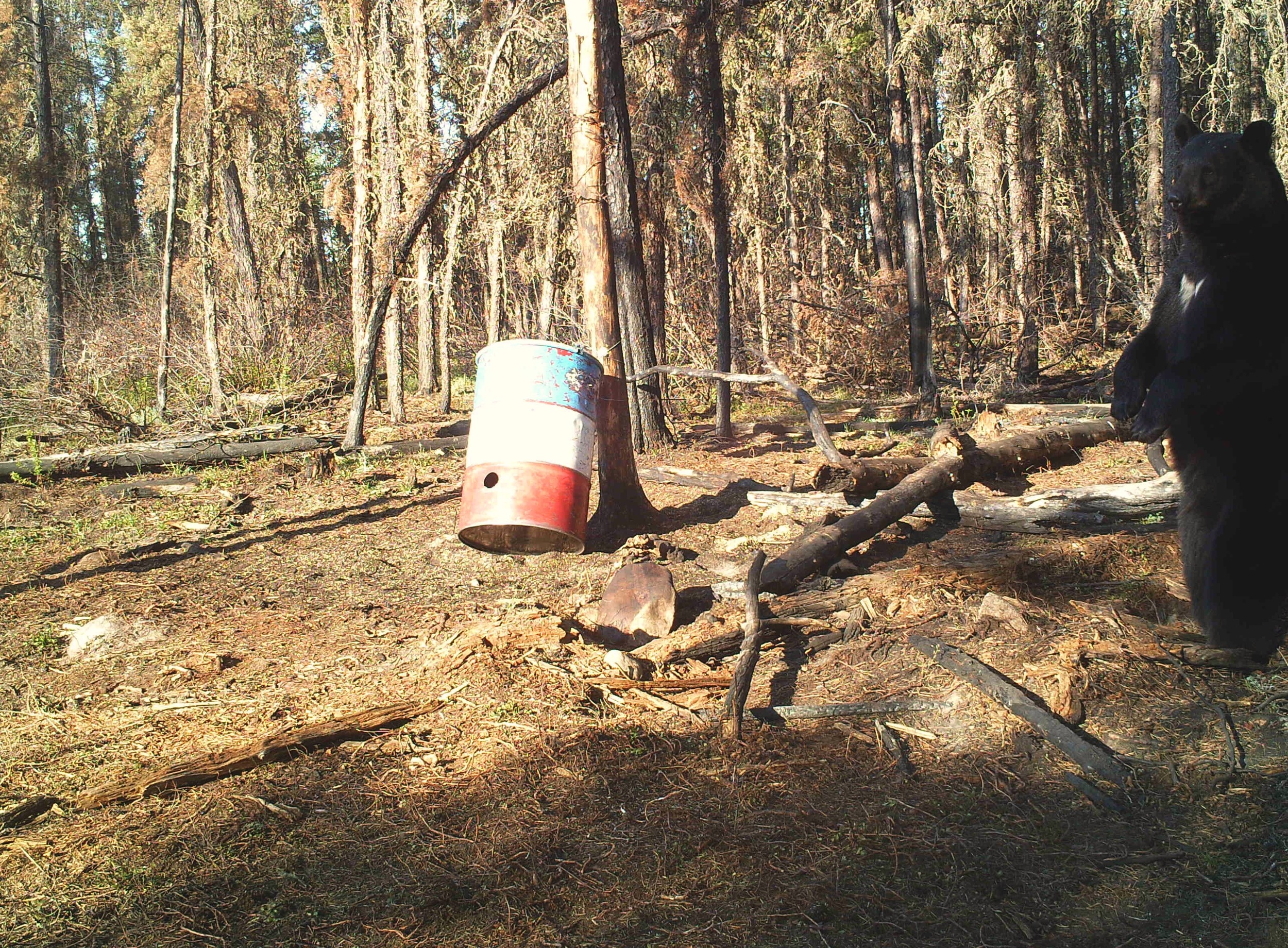 PICT0592.jpg