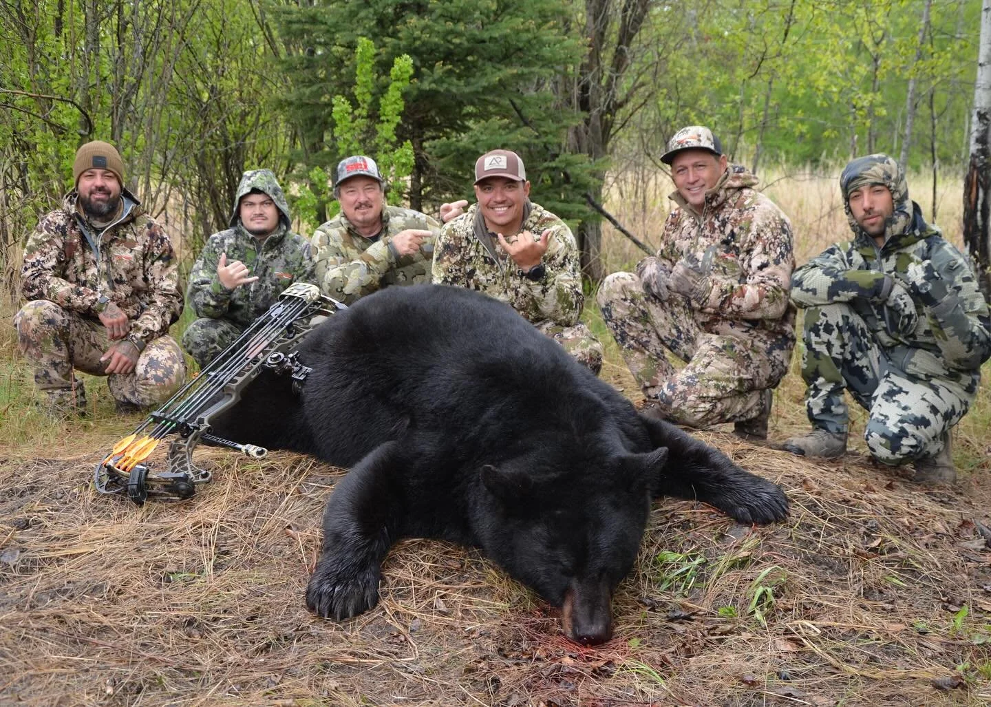 Hawaiian week 🤙 🤙