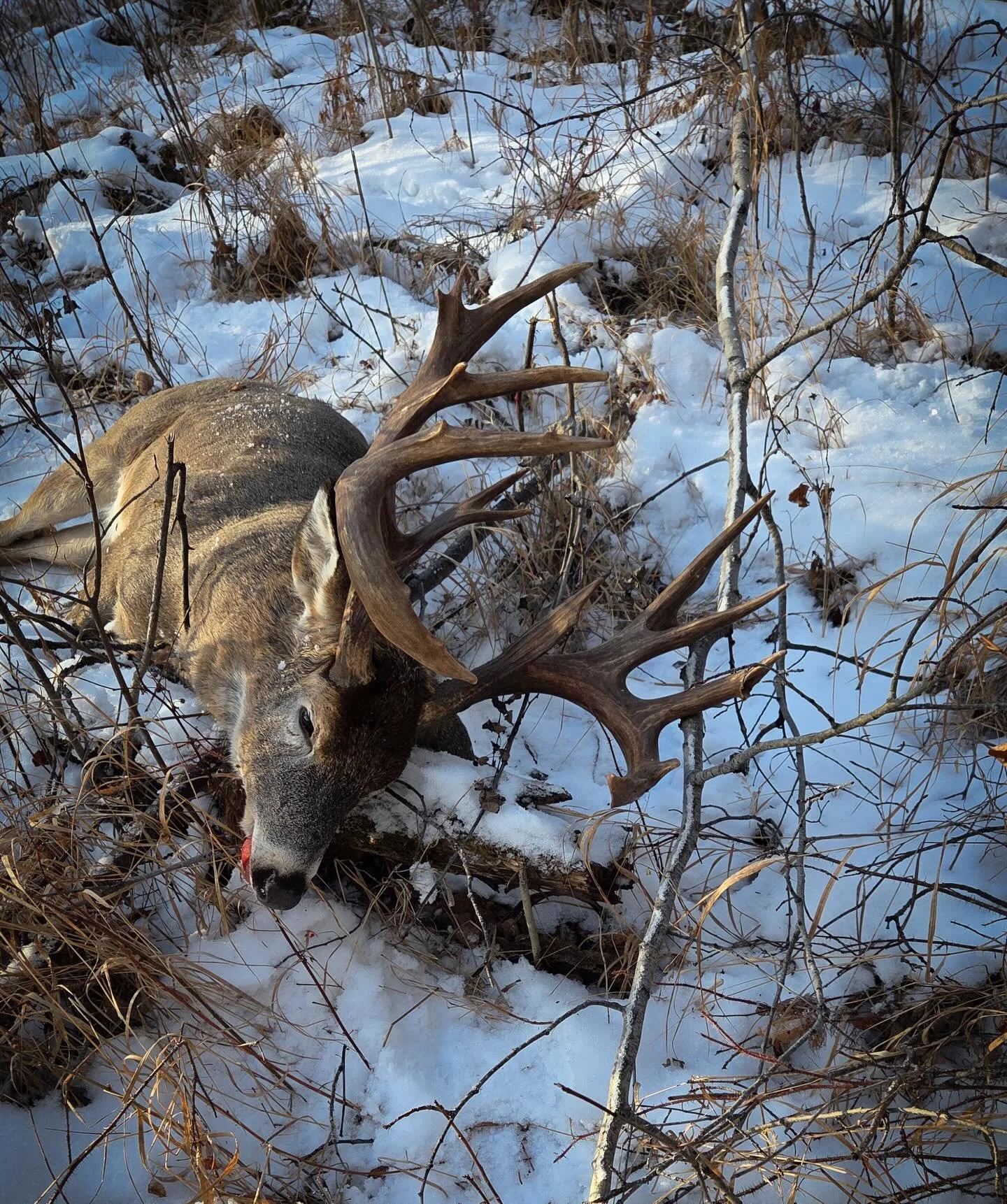 Here&rsquo;s to the ones that leave you speechless.

Thank you to our hunters and dedicated staff for making this season one to remember.