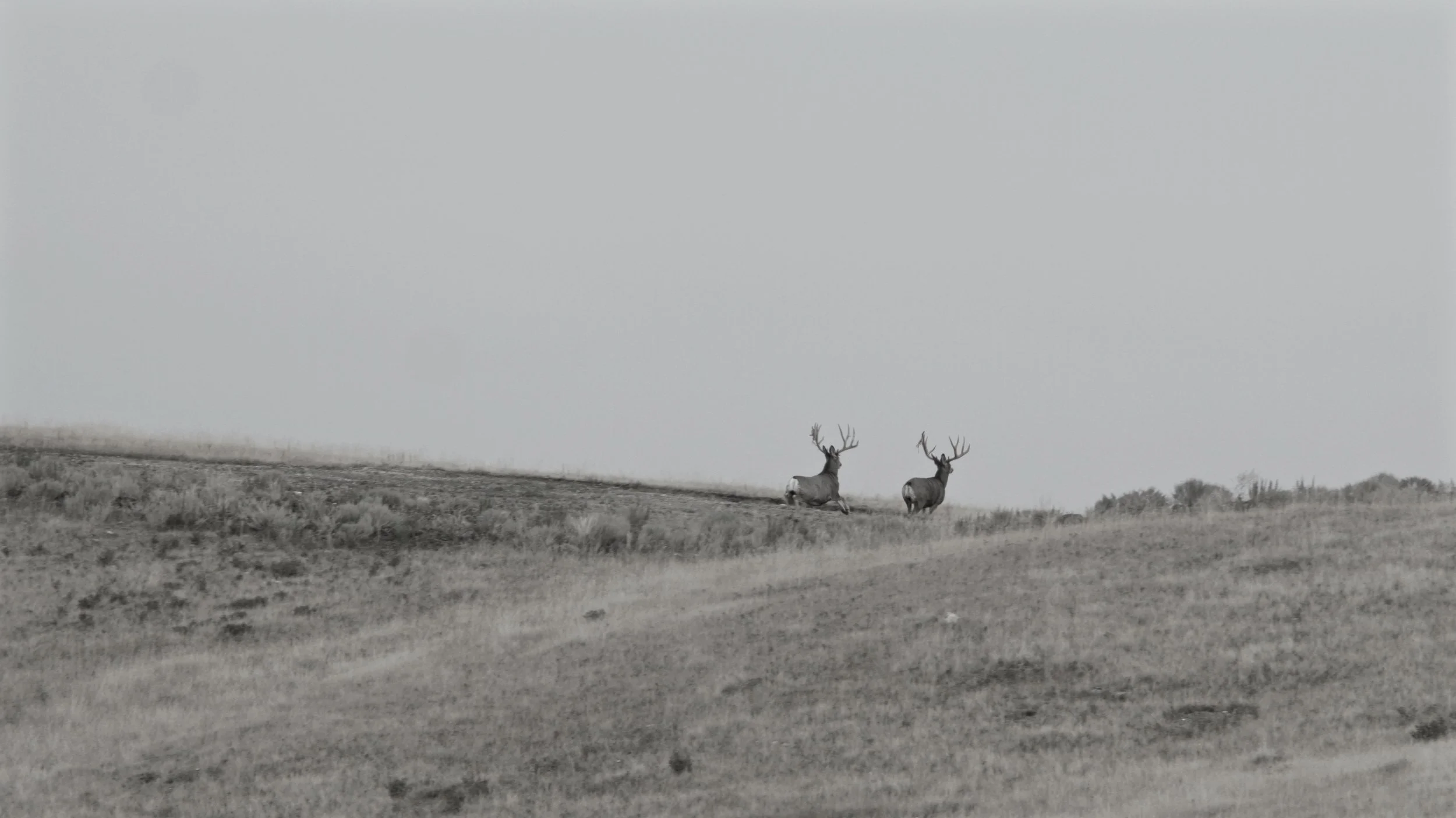 Screen Shot 2018-02-13 at 3.47.16 PM.jpg