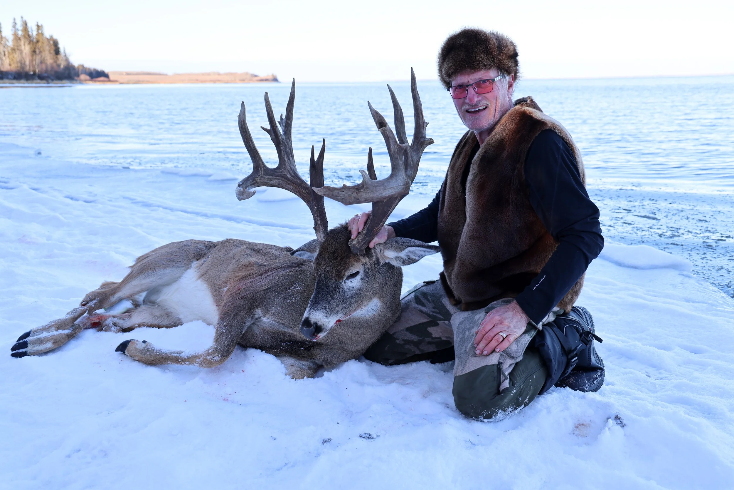 monster alberta whitetail
