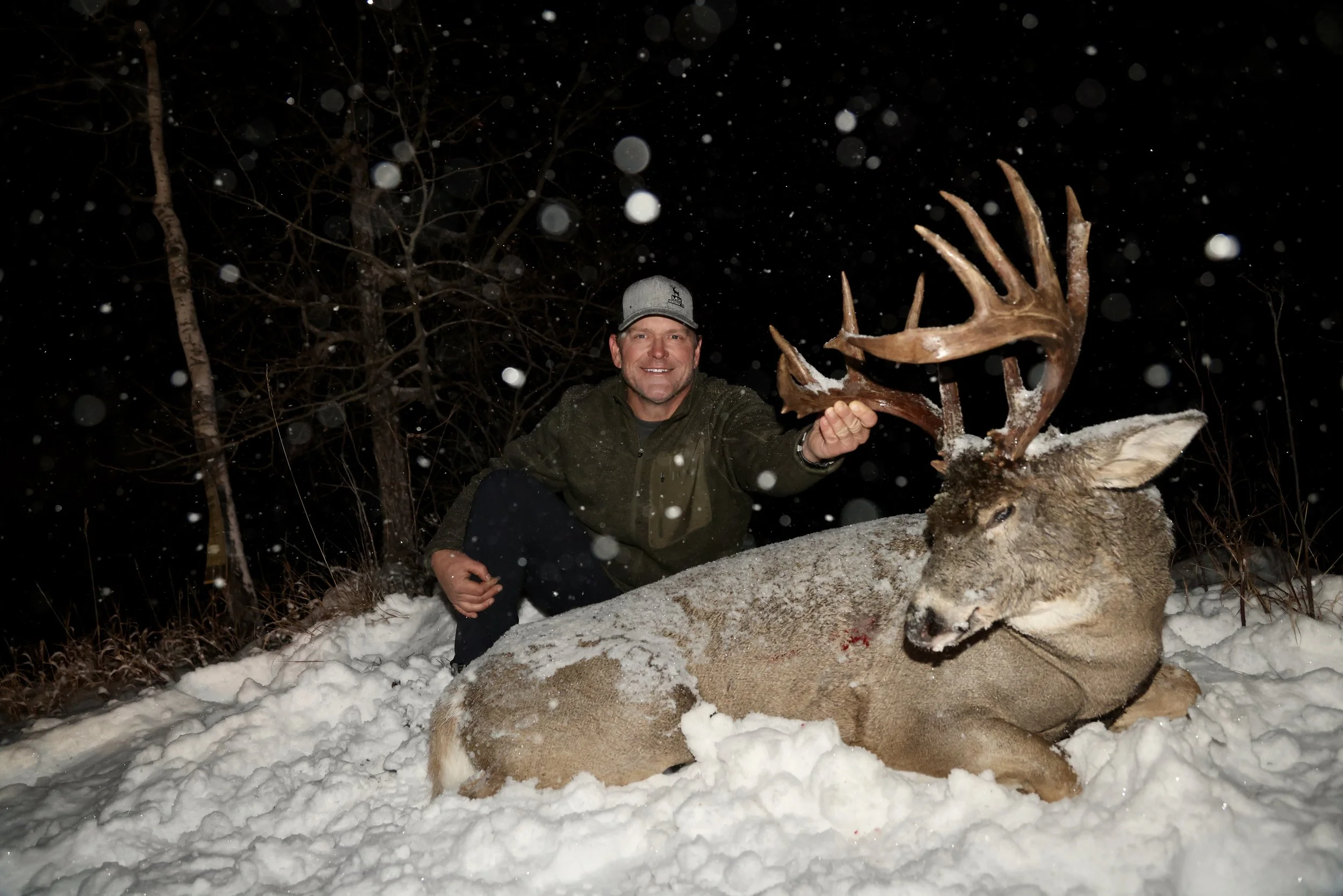 heavy whitetail