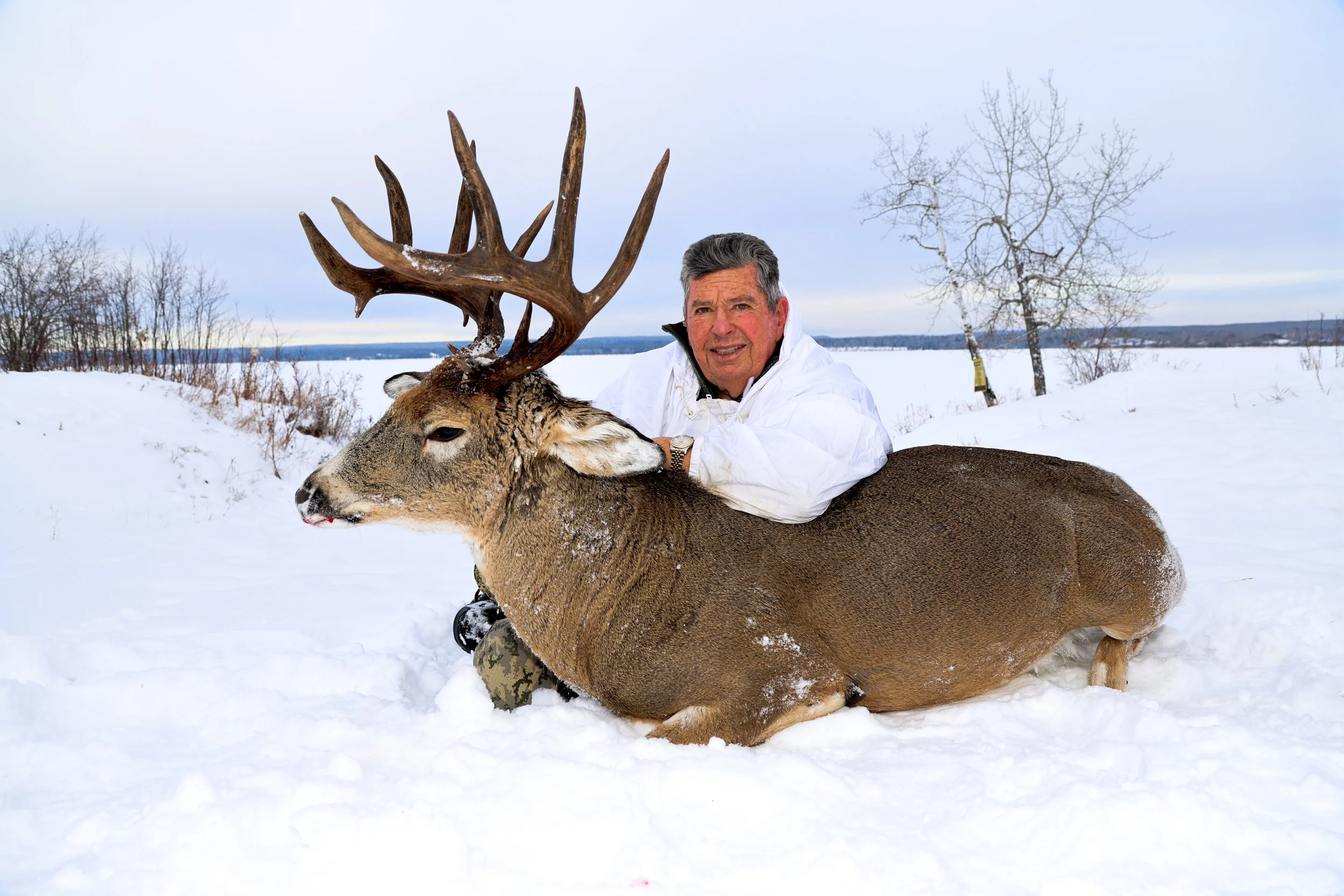Canadian Whitetail