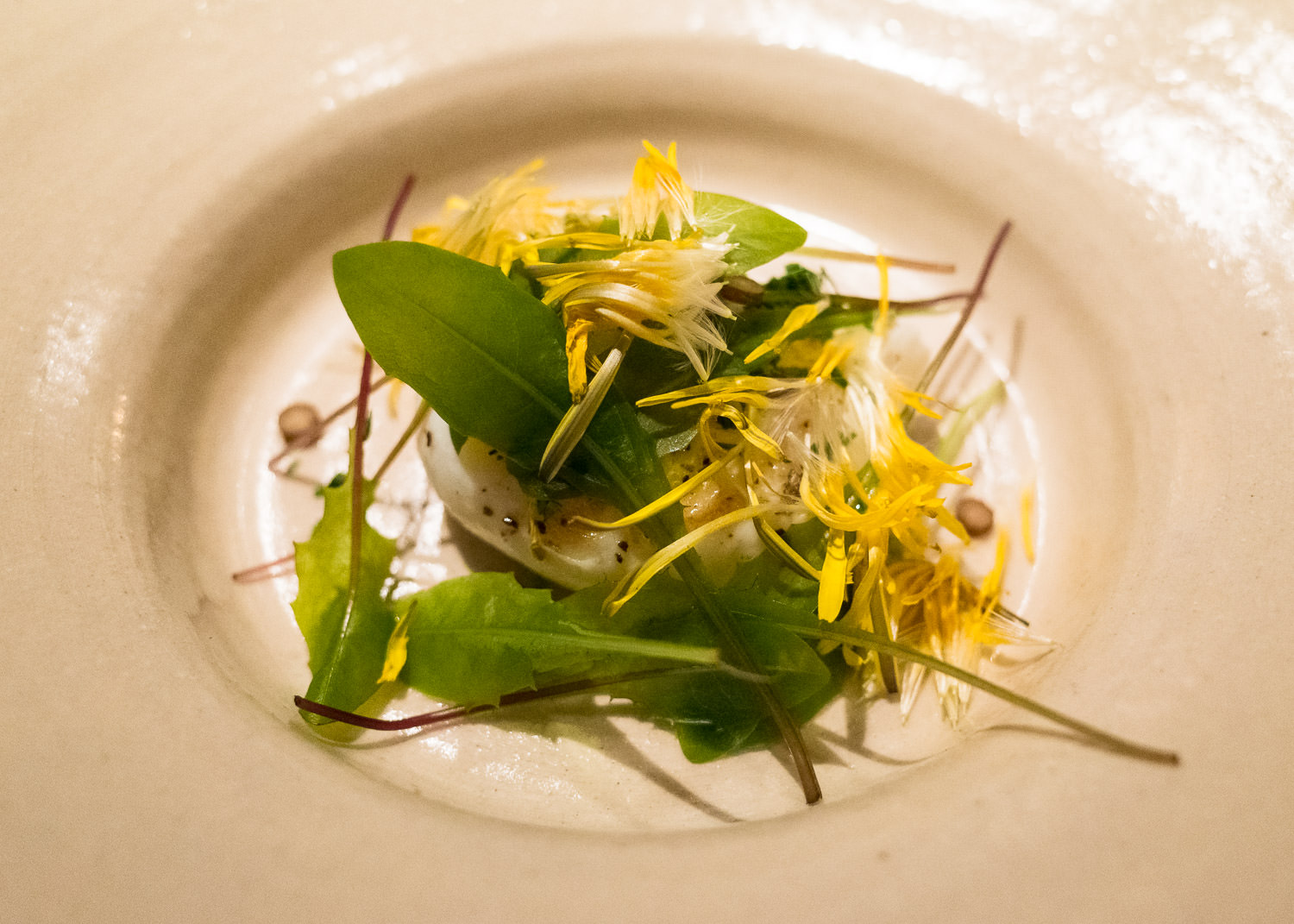 Gently fried duck egg, brined dandelion (v)