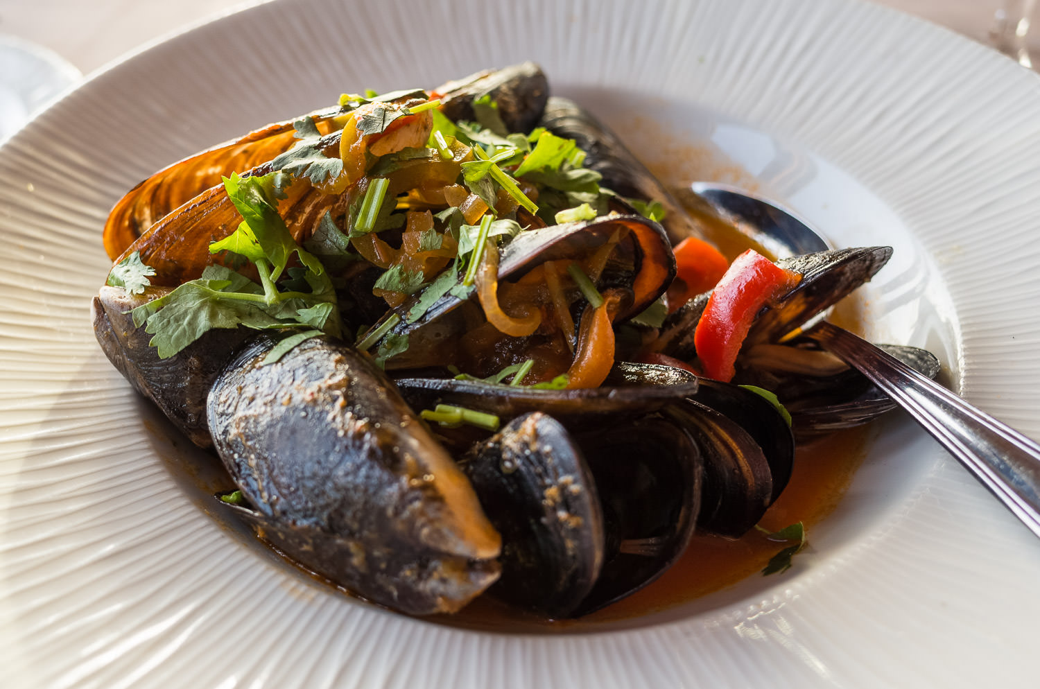 Mussels provençal