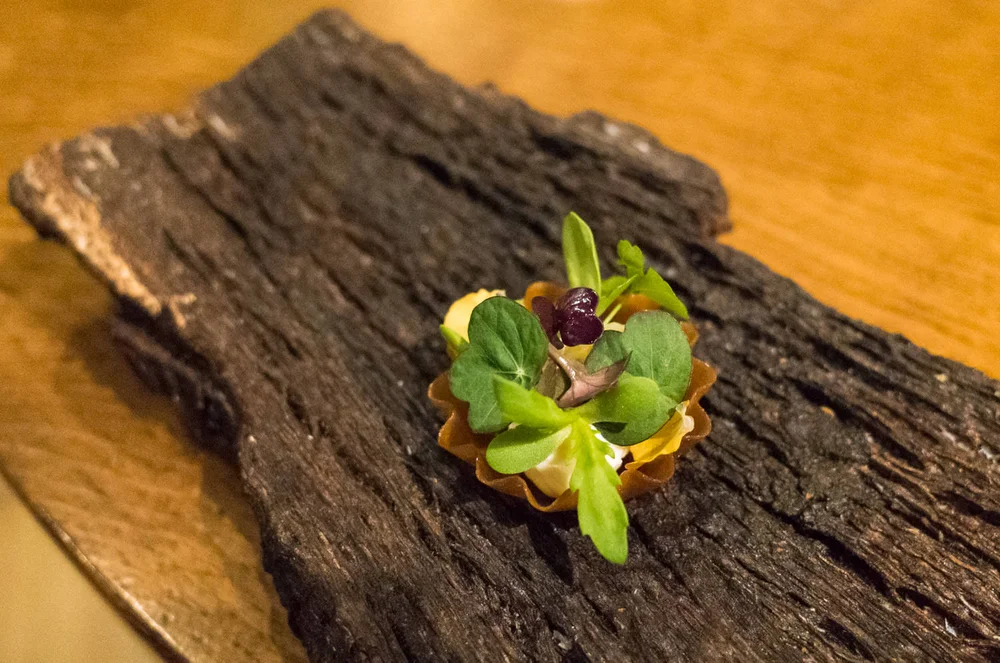 Salted gooseberry and herb tart (v)