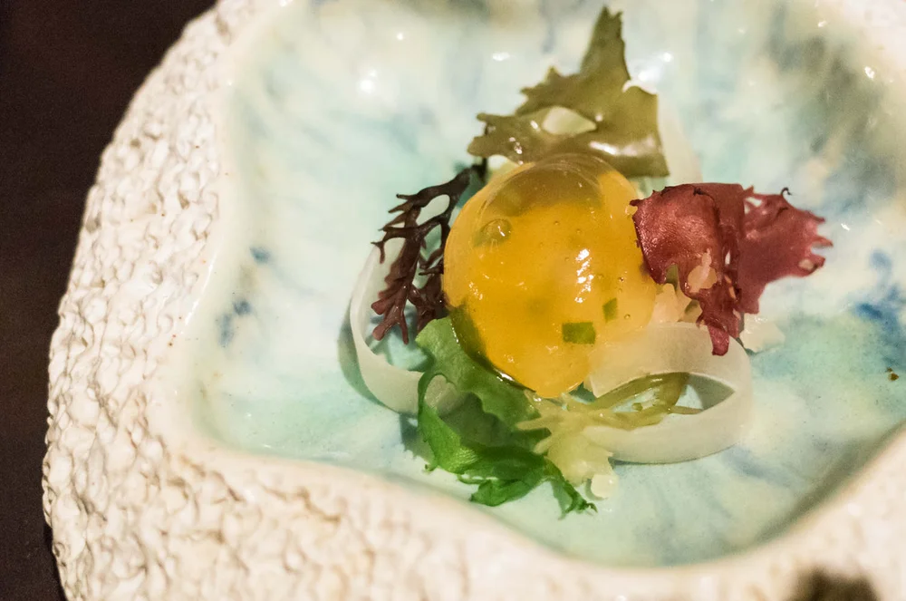 Kohlrabi and seaweed (v)