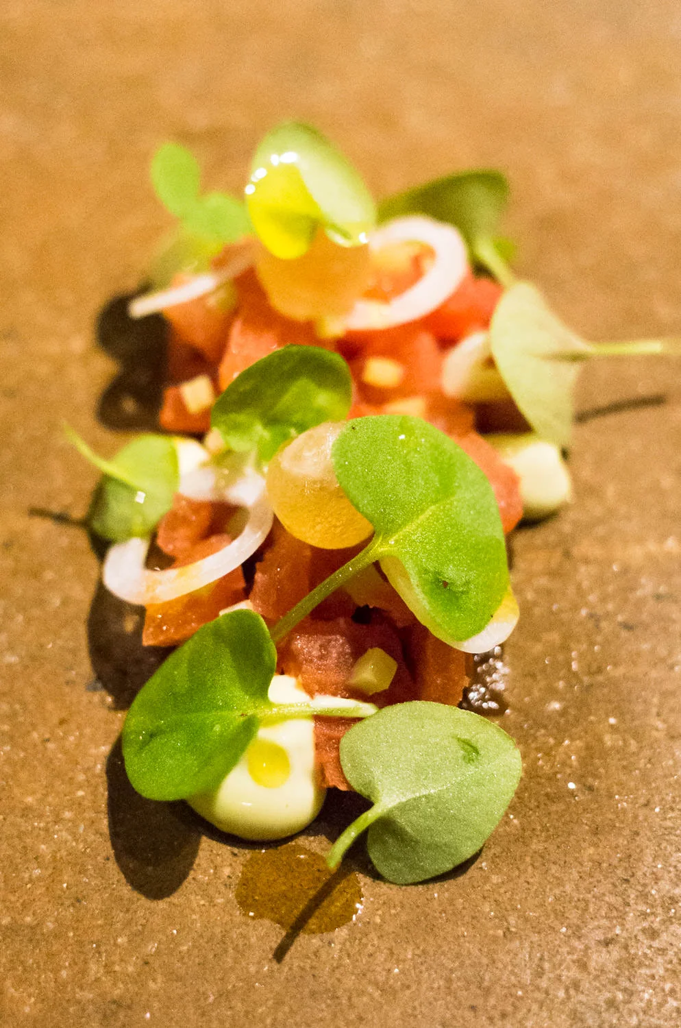 Heritage tomato in coal oil, shallot and sorrel (v)