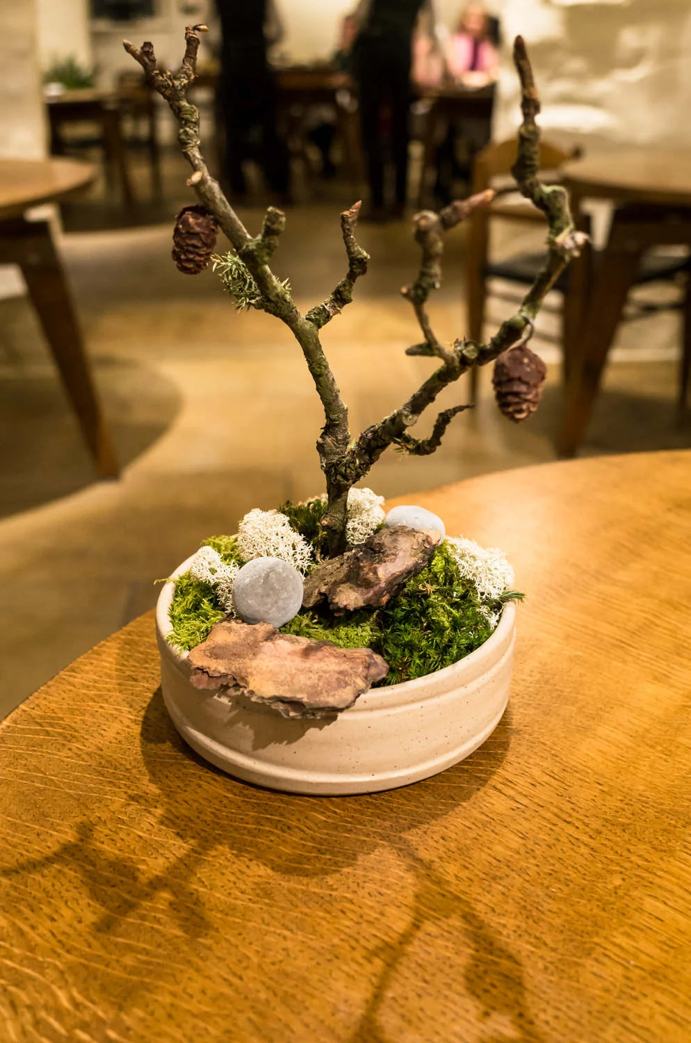 Pine cones and mint cake (v)