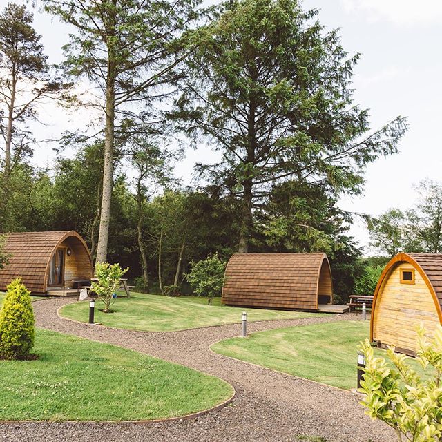 &ldquo;There is no Wi-fi in the forest, but I promise you will find a better connection.&rdquo; - Glamping @falconforestglamping on the blog, click link in bio 🏕🔥