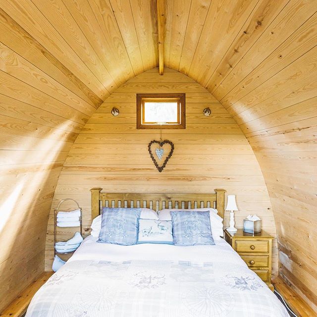 Our cosy little pod at Falcon Forest Glamping ⛺️💤