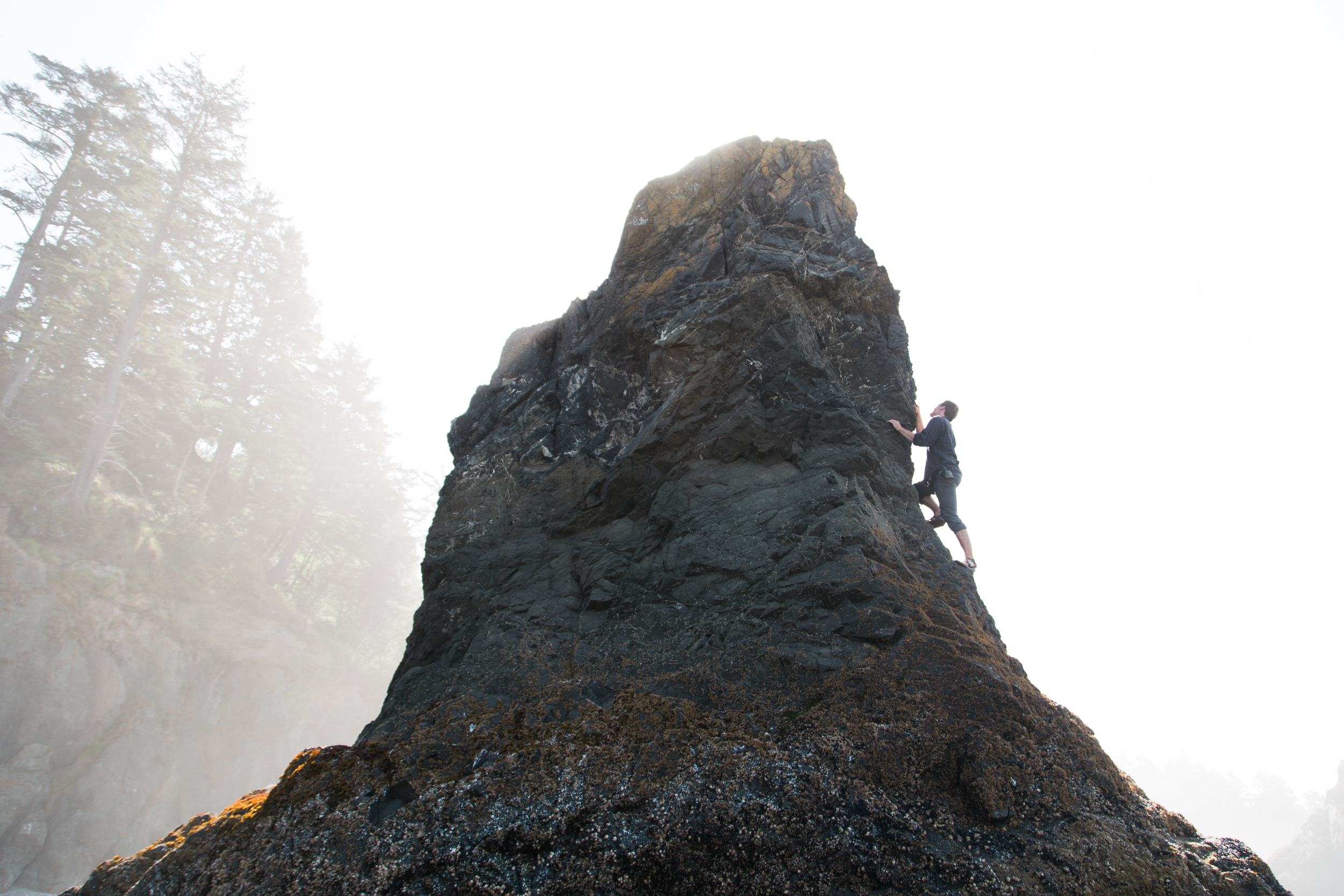 seattle washington rainier national park olympic ruby beach vancouver british columbia canada pacific north west engagement proposal couple wedding portrait adventure photographer photography