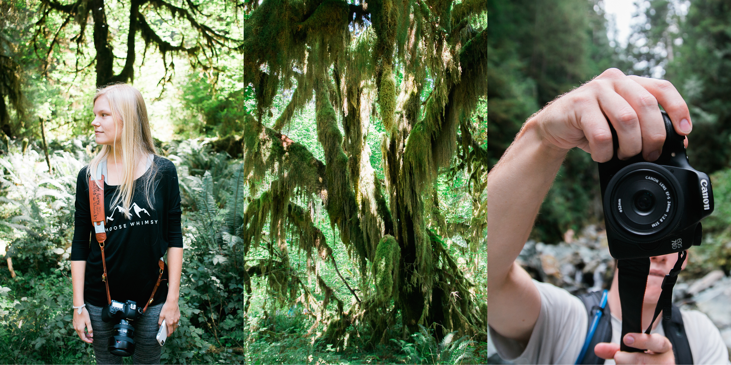 seattle washington rainier national park olympic ruby beach vancouver british columbia canada pacific north west engagement proposal couple wedding portrait adventure photographer photography